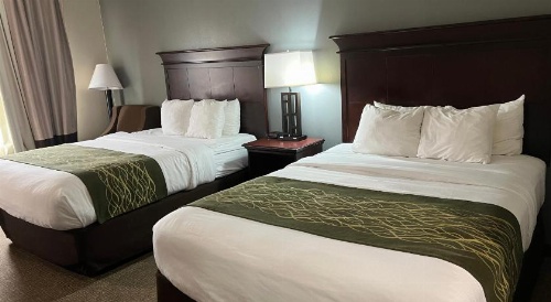 Comfort Inn Shreveport I-49 image 14